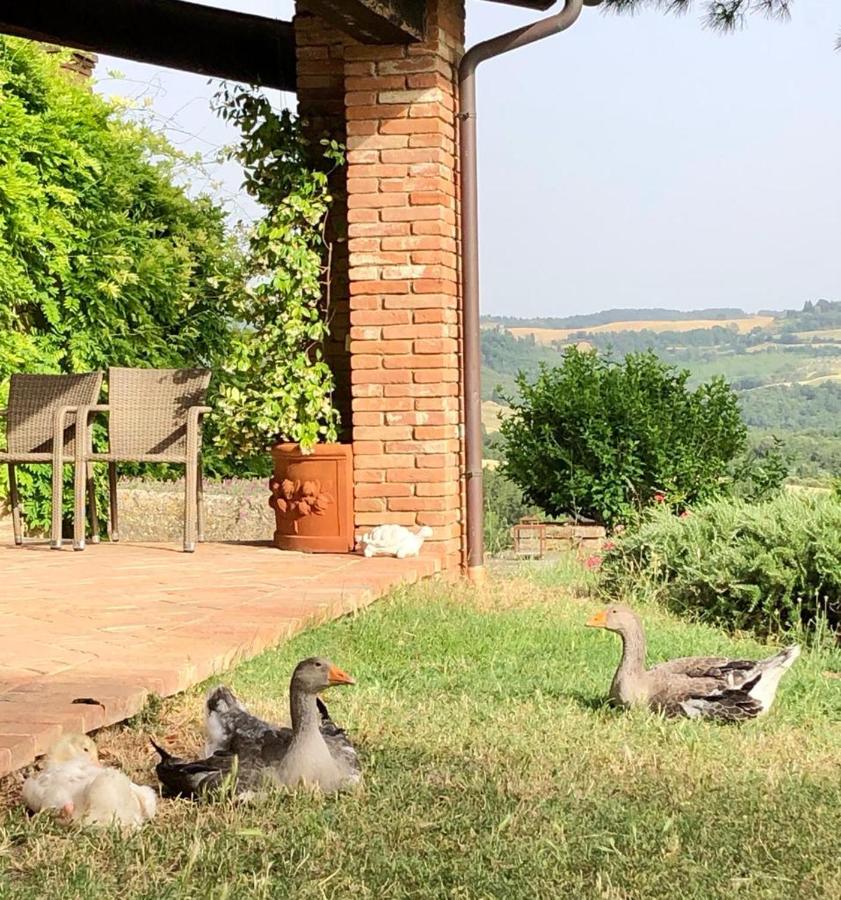 Agriturismo Sole Villa Trequanda Luaran gambar