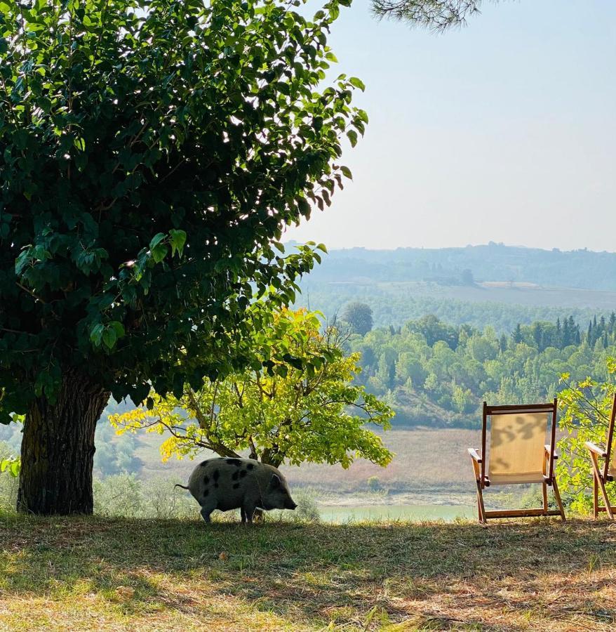 Agriturismo Sole Villa Trequanda Luaran gambar