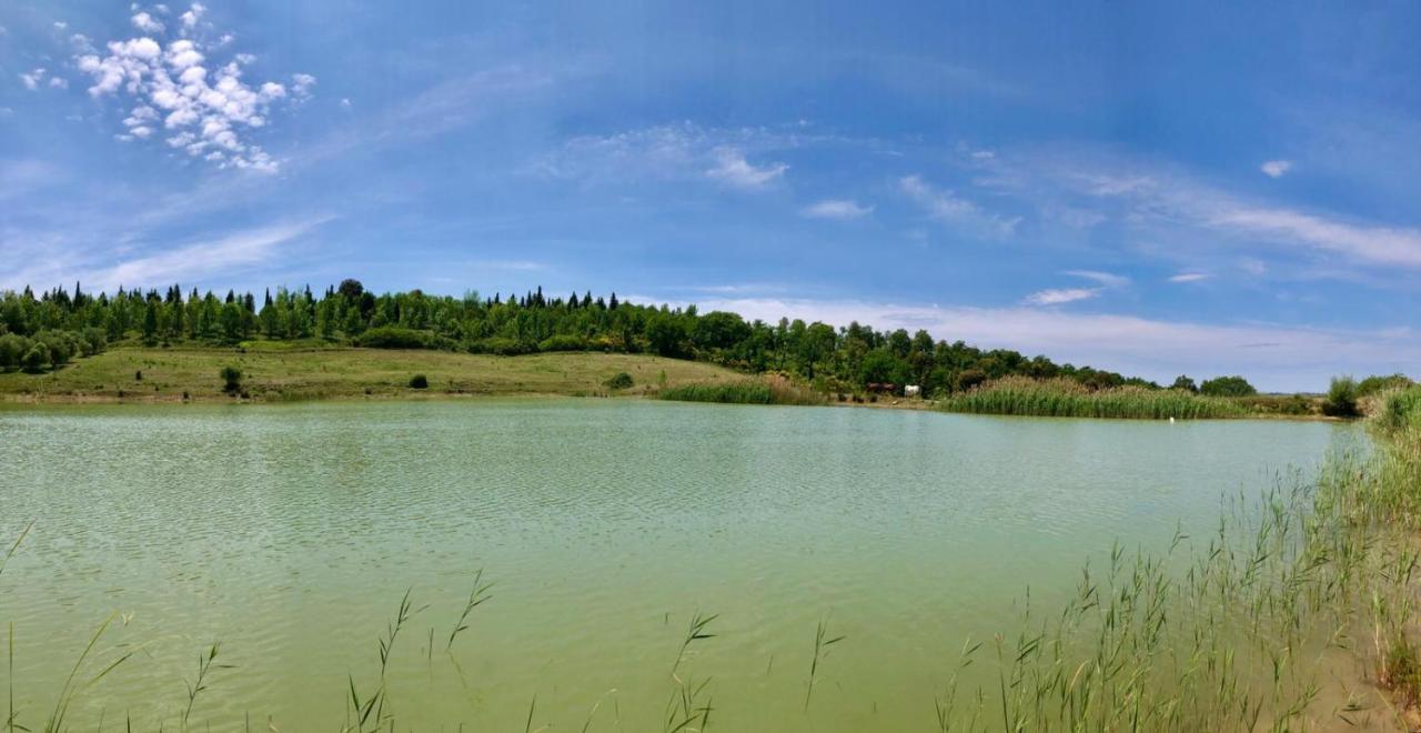 Agriturismo Sole Villa Trequanda Luaran gambar