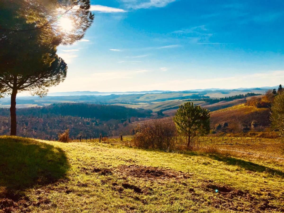 Agriturismo Sole Villa Trequanda Luaran gambar