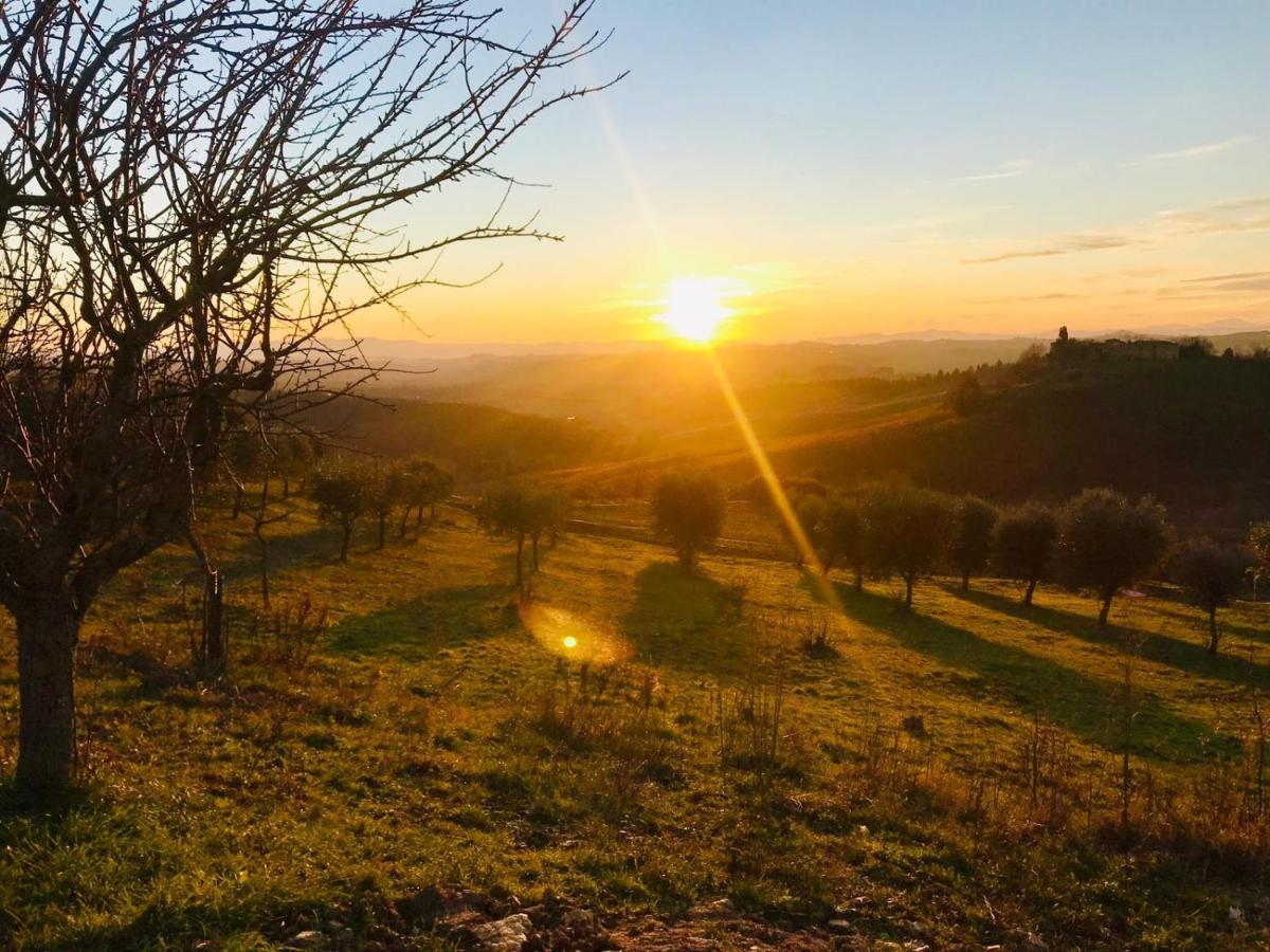 Agriturismo Sole Villa Trequanda Luaran gambar