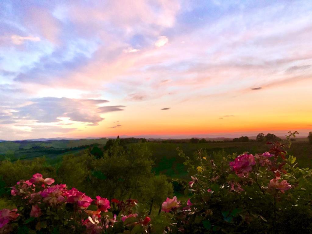 Agriturismo Sole Villa Trequanda Luaran gambar