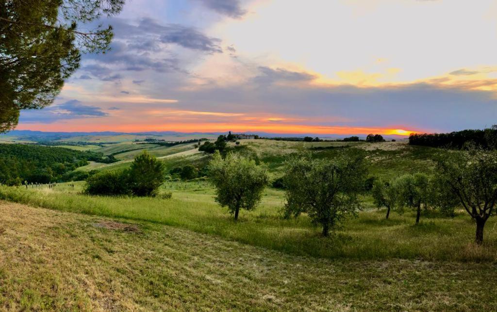 Agriturismo Sole Villa Trequanda Luaran gambar